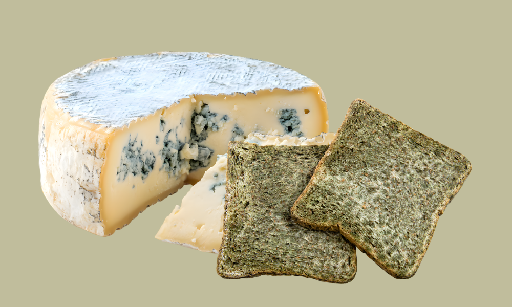 Blog Images_20251015_180633_0008