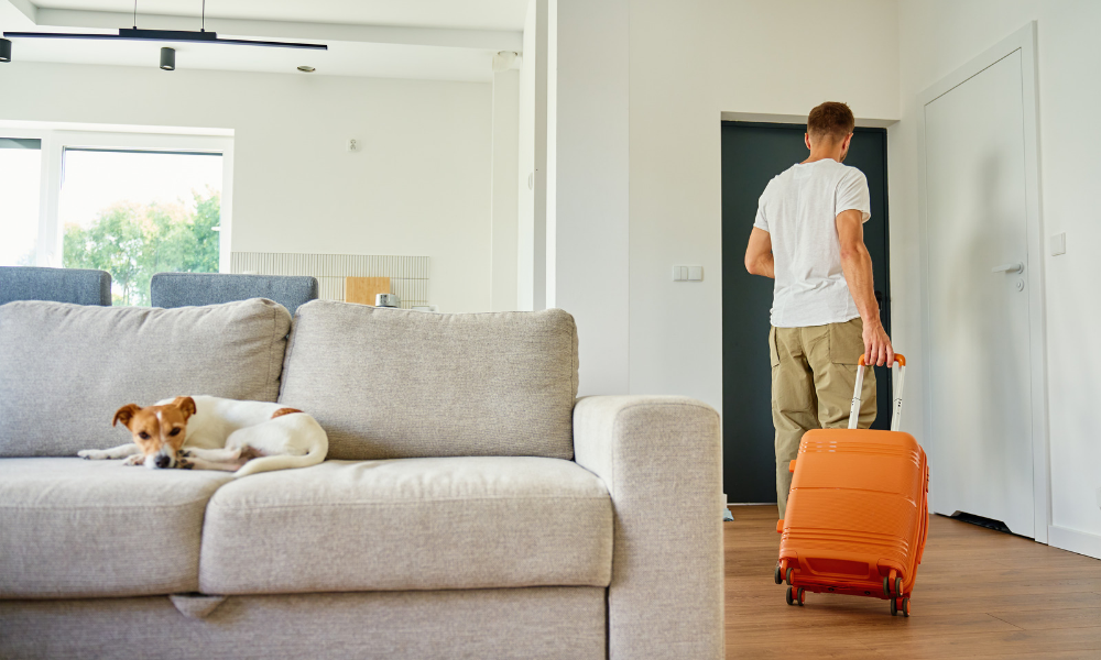 Separation Anxiety in Dogs