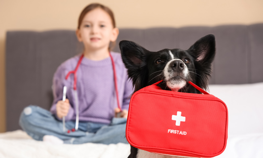 What to Do in a Pet Emergency ?