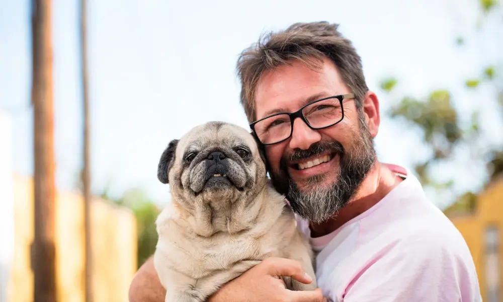 Midlife Health Guide for Pets