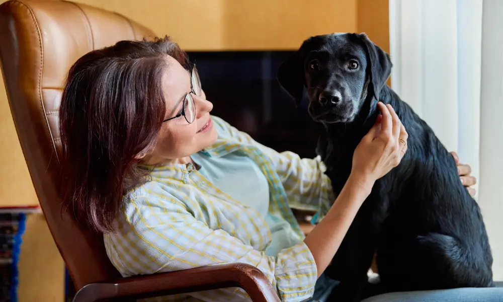 Midlife Health Guide for Pets
