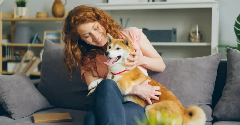 Midlife Health Guide - Middle aged pet