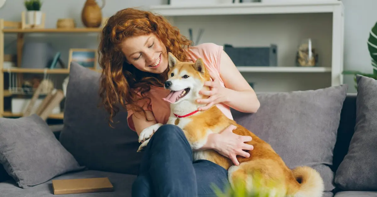 Midlife Health Guide - Middle aged pet